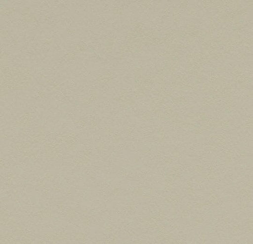Marmoleum Piano - Stucco - 3378 B&R: Flooring & Carpeting Forbo 