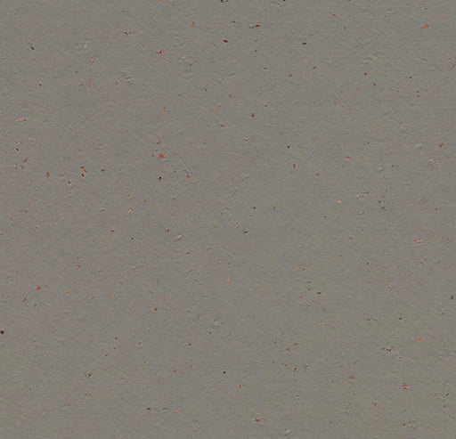 Marmoleum Sheet Splash - Nori - 3589 B&R: Flooring & Carpeting Forbo 