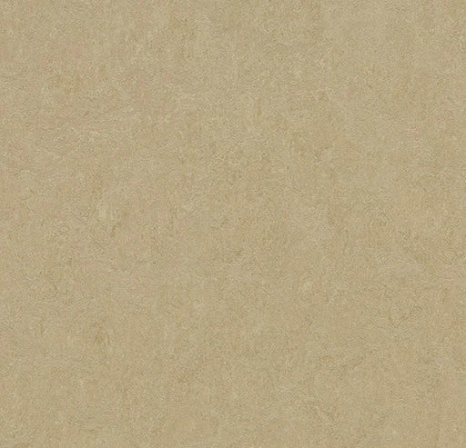 Marmoleum Fresco - Oat- 3890 B&R: Flooring & Carpeting Forbo 