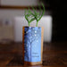 Birthday Wishes Tree Gift Gifts Scarlet Abderus 