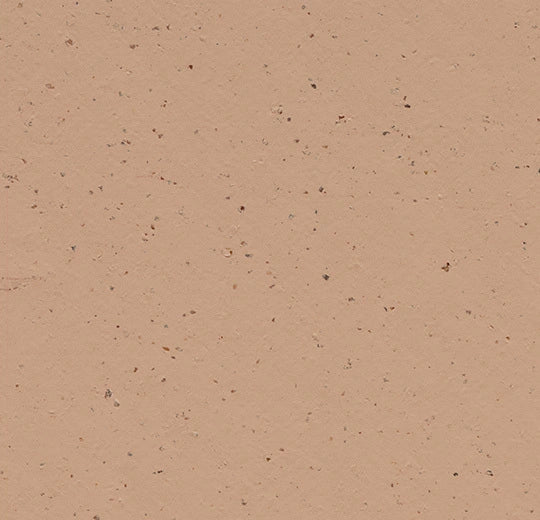 Marmoleum Sheet Splash - Salted Caramel - 3592 B&R: Flooring & Carpeting Forbo 