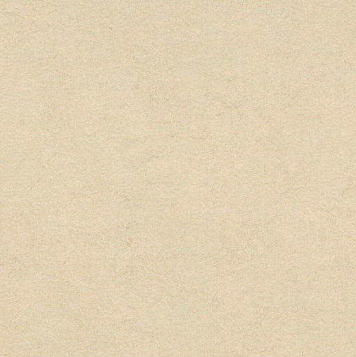 Marmoleum Cinch LOC Seal - Barbados 93/333858 B&R: Flooring & Carpeting Forbo 