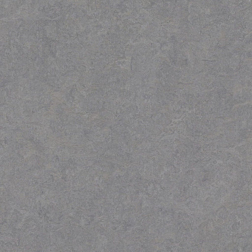 Marmoleum Cinch LOC Seal - Eternity 93/333866 B&R: Flooring & Carpeting Forbo 