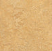 Marmoleum Cinch LOC Seal - Van Gogh 93/333173 B&R: Flooring & Carpeting Forbo 
