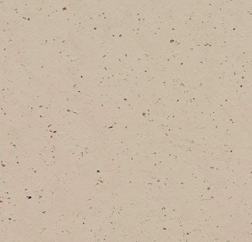 Marmoleum Cocoa - Meringue - 3590 B&R: Flooring & Carpeting Forbo 