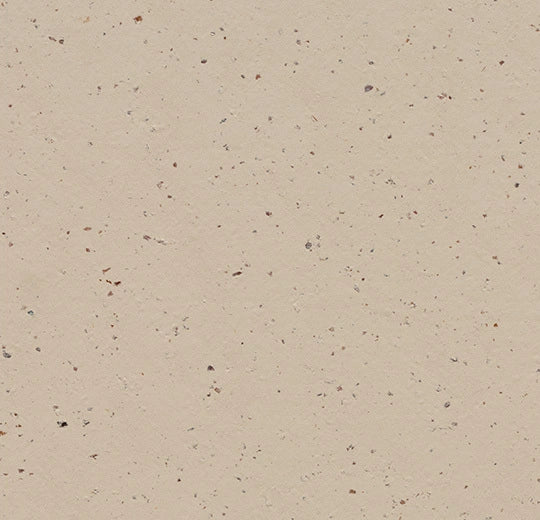 Marmoleum Cocoa - Meringue - 3590 B&R: Flooring & Carpeting Forbo 