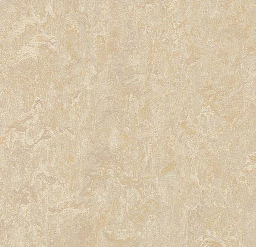 Marmoleum Real - Sand - 2499 B&R: Flooring & Carpeting Marmoleum 