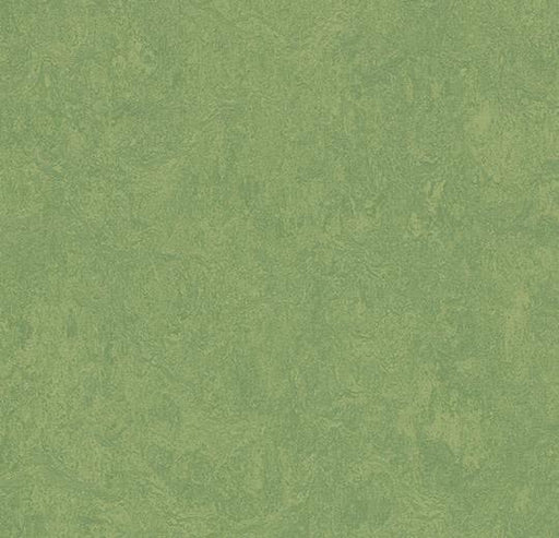 Marmoleum Sheet Fresco - Leaf - 3260 B&R: Flooring & Carpeting Forbo 