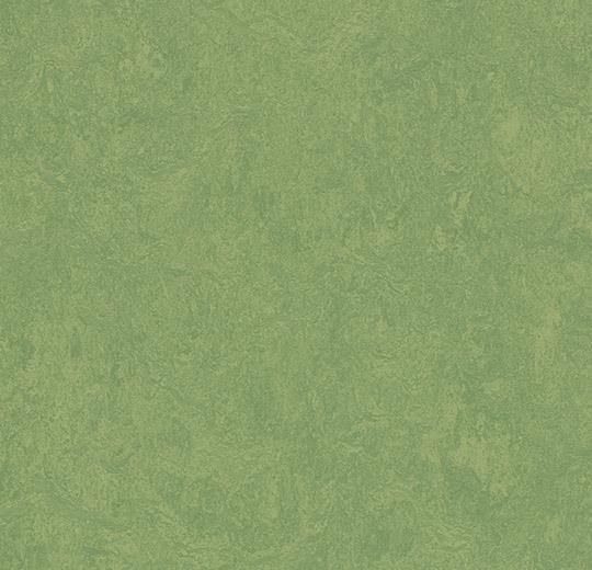 Marmoleum Sheet Fresco - Leaf - 3260 B&R: Flooring & Carpeting Forbo 