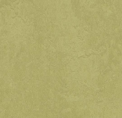 Marmoleum Sheet Fresco - Avocado - 3265 B&R: Flooring & Carpeting Forbo 