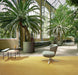 Marmoleum Sheet Fresco - Mustard - 3259 B&R: Flooring & Carpeting Forbo 
