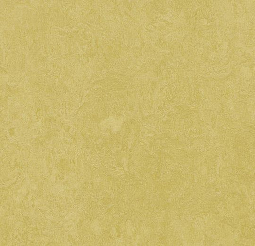 Marmoleum Sheet Fresco - Mustard - 3259 B&R: Flooring & Carpeting Forbo 