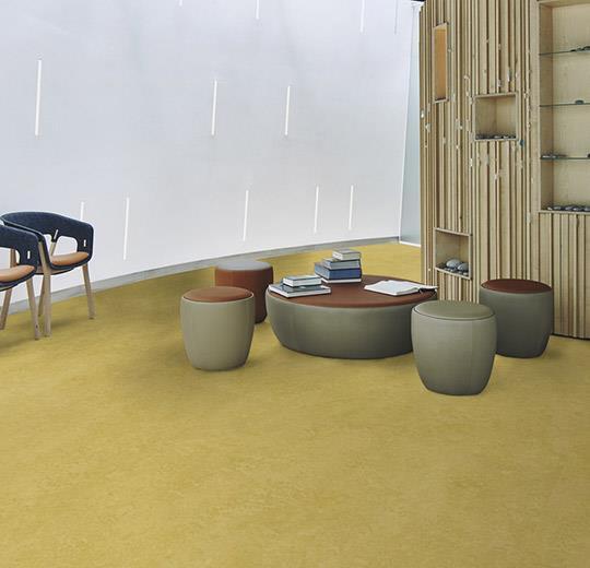 Marmoleum Sheet Fresco - Mustard - 3259 B&R: Flooring & Carpeting Forbo 