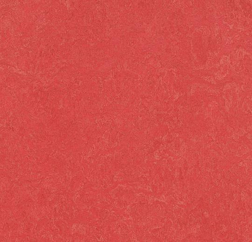 Marmoleum Sheet Fresco- Rose - 3263 B&R: Flooring & Carpeting Forbo 