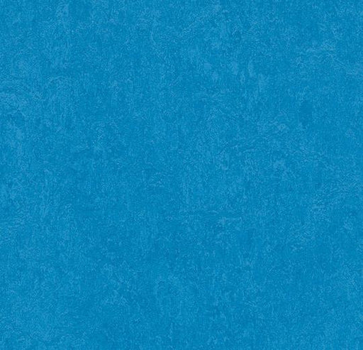 Marmoleum Sheet Fresco- Greek Blue - 3264 B&R: Flooring & Carpeting Forbo 