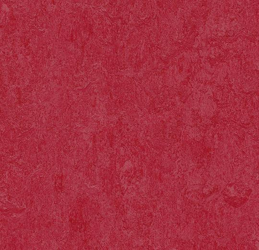 Marmoleum Sheet Fresco- Ruby- 3273 B&R: Flooring & Carpeting Forbo 