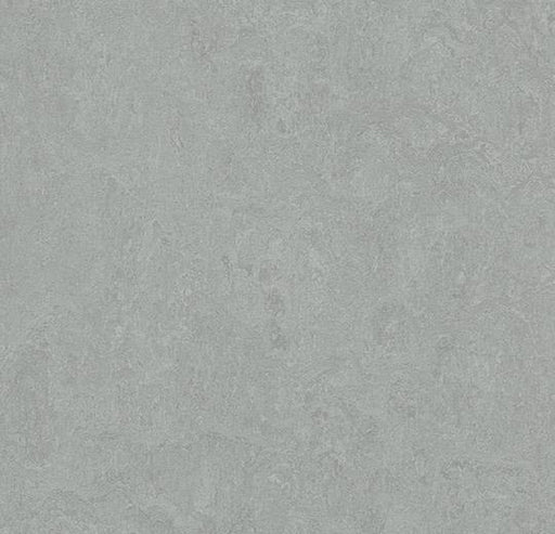 Marmoleum Sheet Fresco- Cinder - 3889 B&R: Flooring & Carpeting Forbo 