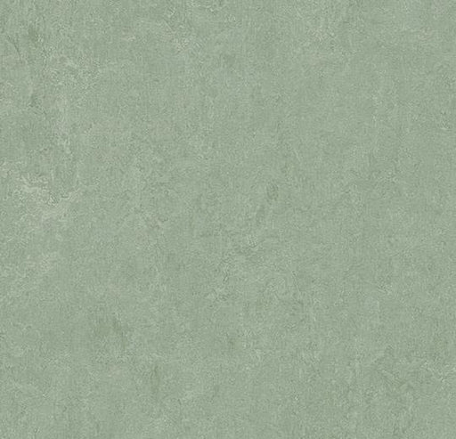 Marmoleum Sheet Fresco - Sage - 3891 B&R: Flooring & Carpeting Forbo 