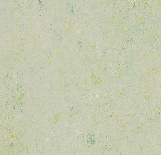Marmoleum Sheet Splash - Salsa Verde - 3430 B&R: Flooring & Carpeting Forbo 
