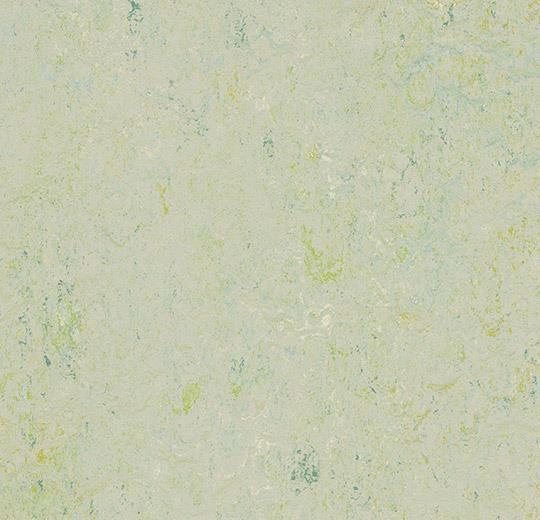 Marmoleum Sheet Splash - Salsa Verde - 3430 B&R: Flooring & Carpeting Forbo 