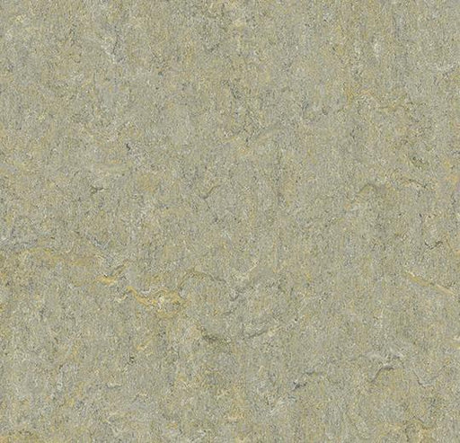 Marmoleum Sheet Terra - River Bank - 5801 B&R: Flooring & Carpeting Forbo 