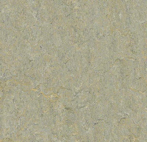 Marmoleum Sheet Terra - River Bank - 5801 B&R: Flooring & Carpeting Forbo 
