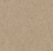 Marmoleum Sheet Terra - Weathered Sand - 5803 B&R: Flooring & Carpeting Forbo 