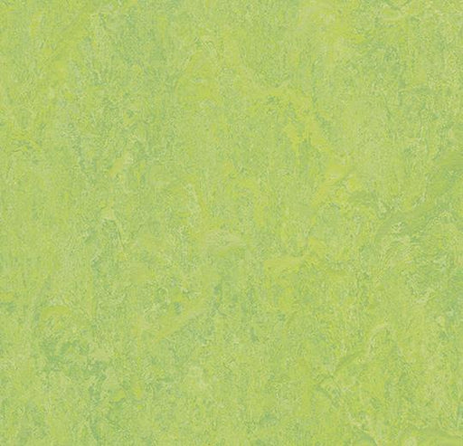 Marmoleum Modular Tile - Refreshing Green B&R: Flooring & Carpeting Forbo USA 
