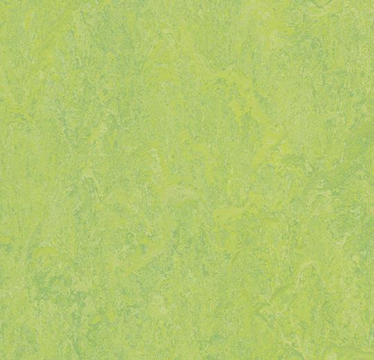 Marmoleum Modular Tile - Refreshing Green B&R: Flooring & Carpeting Forbo USA 