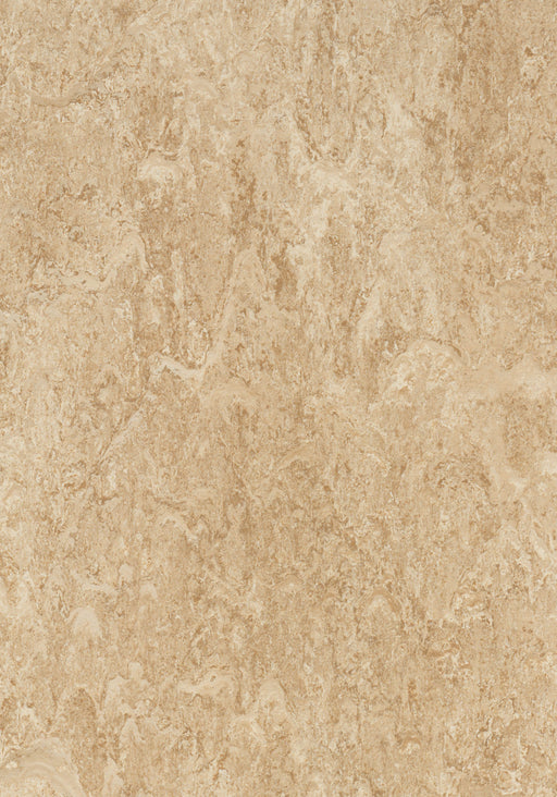 Marmoleum Sheet Real - Barley B&R: Flooring & Carpeting Forbo USA 