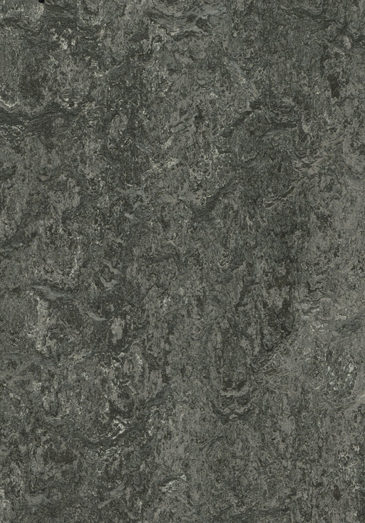 Marmoleum Decibel Sheet Real - Graphite B&R: Flooring & Carpeting Forbo USA 