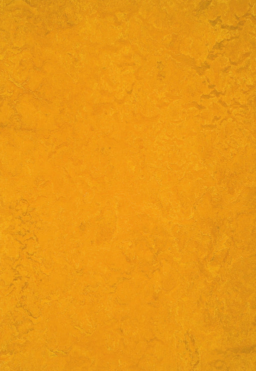 Marmoleum Sheet Real - Golden Sunset B&R: Flooring & Carpeting Forbo USA 