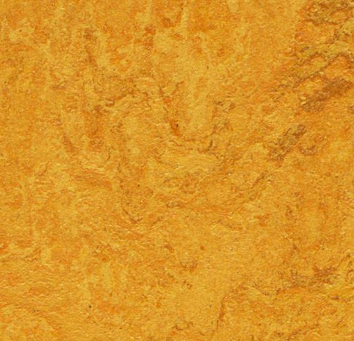 Marmoleum MCS - Golden Sunset - 3125 B&R: Flooring & Carpeting Forbo USA 