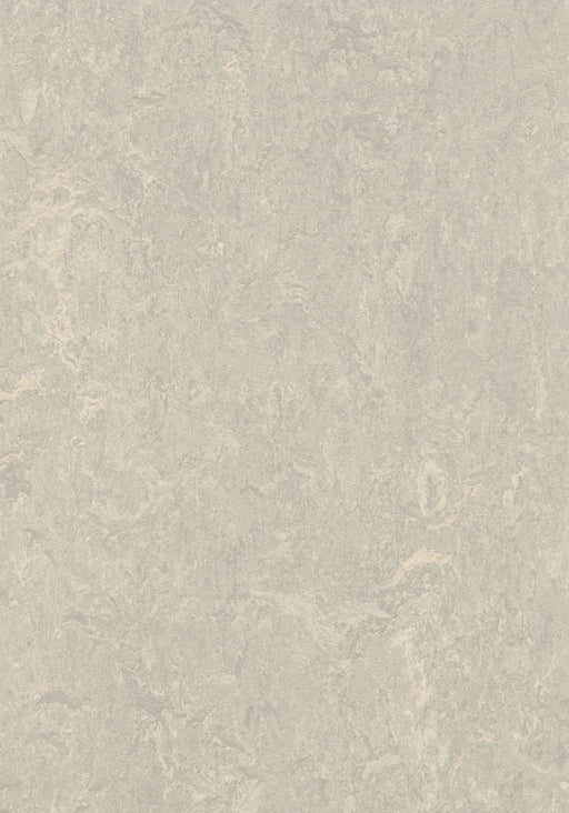 Marmoleum Sheet Real - Concrete B&R: Flooring & Carpeting Forbo USA 