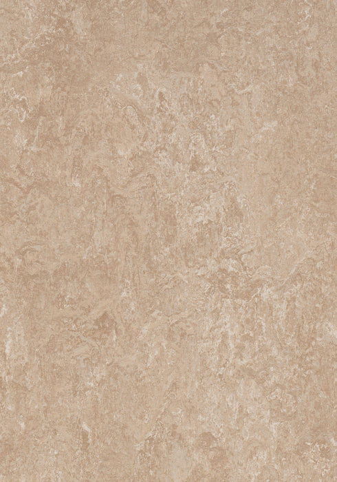 Marmoleum Sheet Real - Himalaya B&R: Flooring & Carpeting Forbo USA 