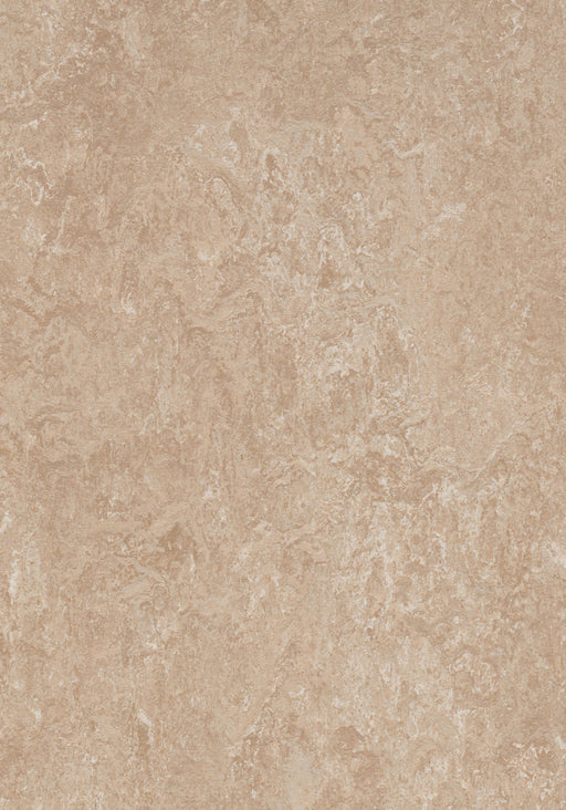 Marmoleum Sheet Real - Himalaya B&R: Flooring & Carpeting Forbo USA 