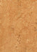 Marmoleum Sheet Real - Sahara B&R: Flooring & Carpeting Forbo USA 