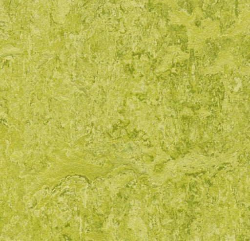 Marmoleum MCS - Chartreuse - 3224 B&R: Flooring & Carpeting Forbo USA 