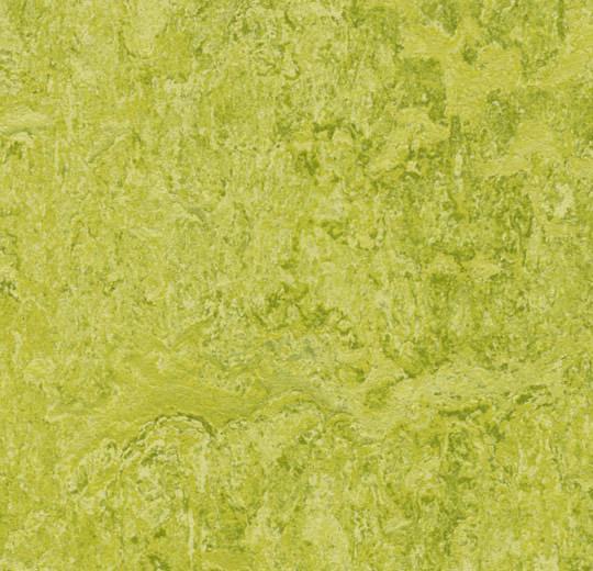 Marmoleum MCS - Chartreuse - 3224 B&R: Flooring & Carpeting Forbo USA 