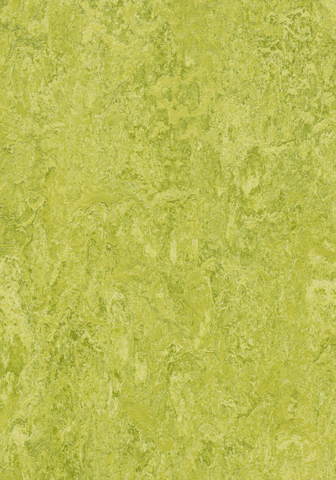 Marmoleum Decibel Sheet Real - Chartreuse B&R: Flooring & Carpeting Forbo USA 