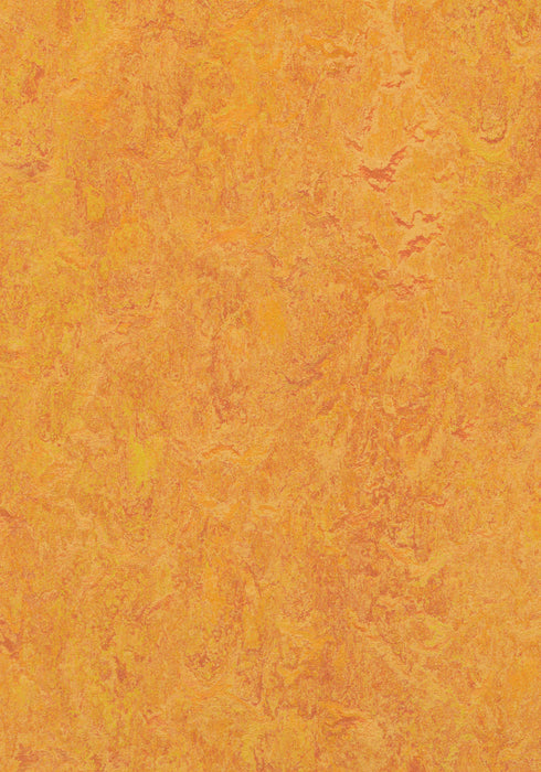 Marmoleum Sheet Real - Marigold B&R: Flooring & Carpeting Forbo USA 