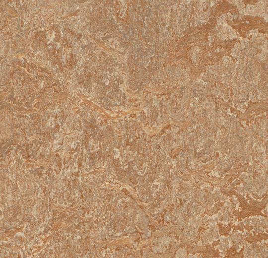 Marmoleum Composition Tile (MCT) - Shitake 3233 B&R: Flooring & Carpeting Marmoleum 