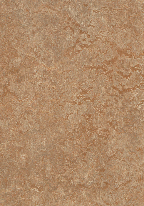 Marmoleum Sheet Real - Shitake B&R: Flooring & Carpeting Forbo USA 