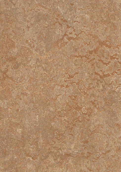 Marmoleum Composition Tile (MCT) - Shitake 3233 B&R: Flooring & Carpeting Marmoleum 