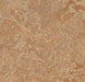 Marmoleum Modular Tile - Shitake t3233 B&R: Flooring & Carpeting Forbo USA 