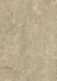Marmoleum Sheet Real - Forest Ground B&R: Flooring & Carpeting Forbo USA 