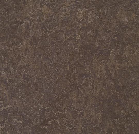 Marmoleum Composition Tile (MCT) - Tobacco Leaf 3235 B&R: Flooring & Carpeting Marmoleum 