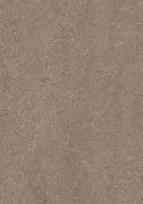 Marmoleum Sheet Real - Shrike B&R: Flooring & Carpeting Forbo USA 
