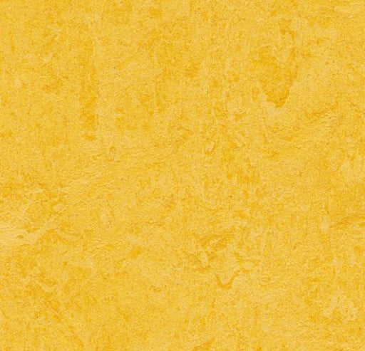 Marmoleum Modular Tile - Lemon Zest t3251 B&R: Flooring & Carpeting Forbo USA 