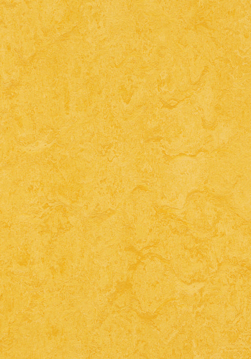 Marmoleum Sheet Real - Lemon Zest B&R: Flooring & Carpeting Forbo USA 